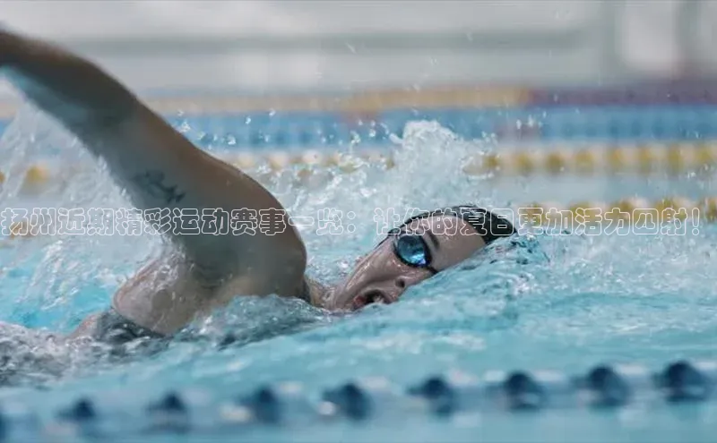 尊龙官方app下载