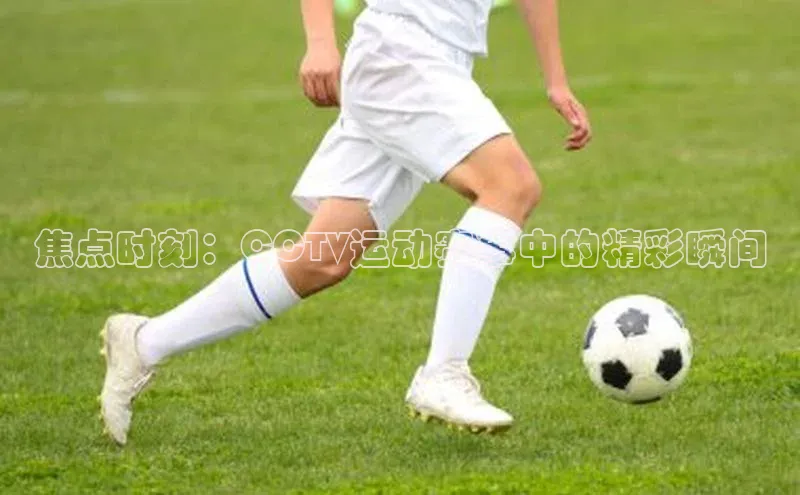 尊龙官方网站官网入口