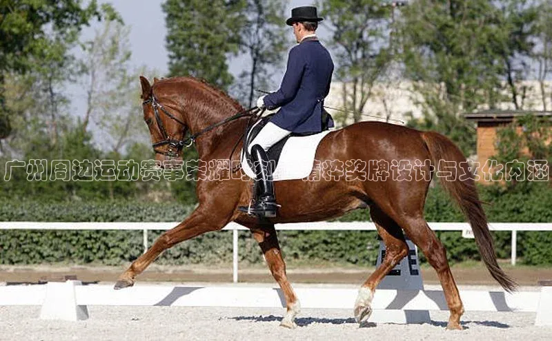 尊龙凯时人生就是博·(中国)