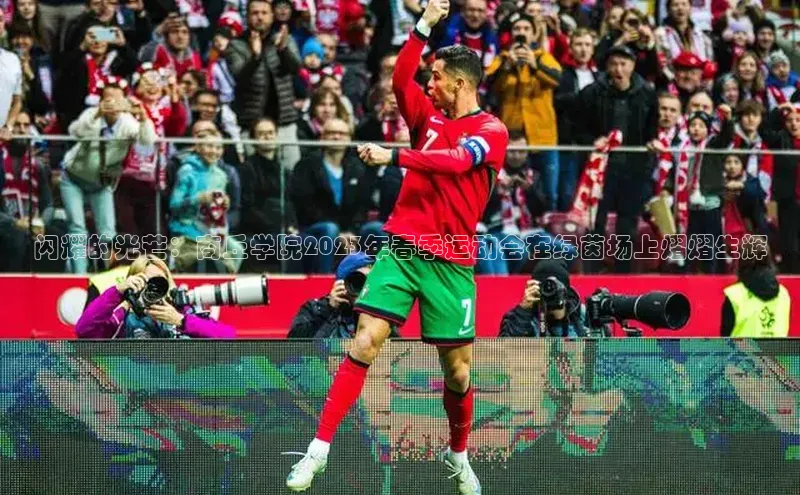 人生搏z6mg官网入口